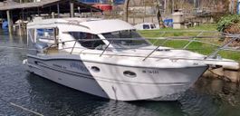 Sessa Marine Dorado 26