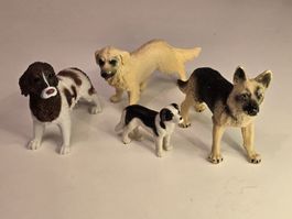 Hunde Set Schäfer, Retriever, Spaniel, Border Collies