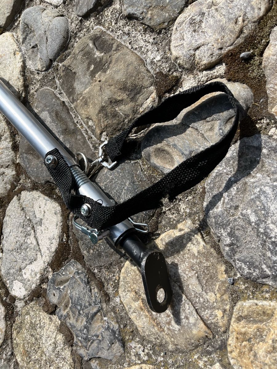 Anhänger: Veloanhänger Hundeanhänger – Gebraucht aus Rümlang von Snejser 8