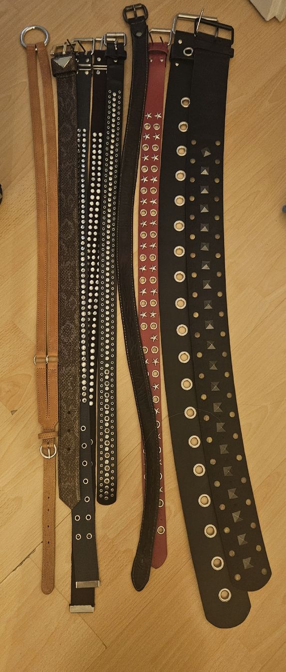 Cinture: Diverse Damengürtel Kollektion, Herbst-Styles, Top! – Usato da Glattbrugg venduto da SnowWhite01