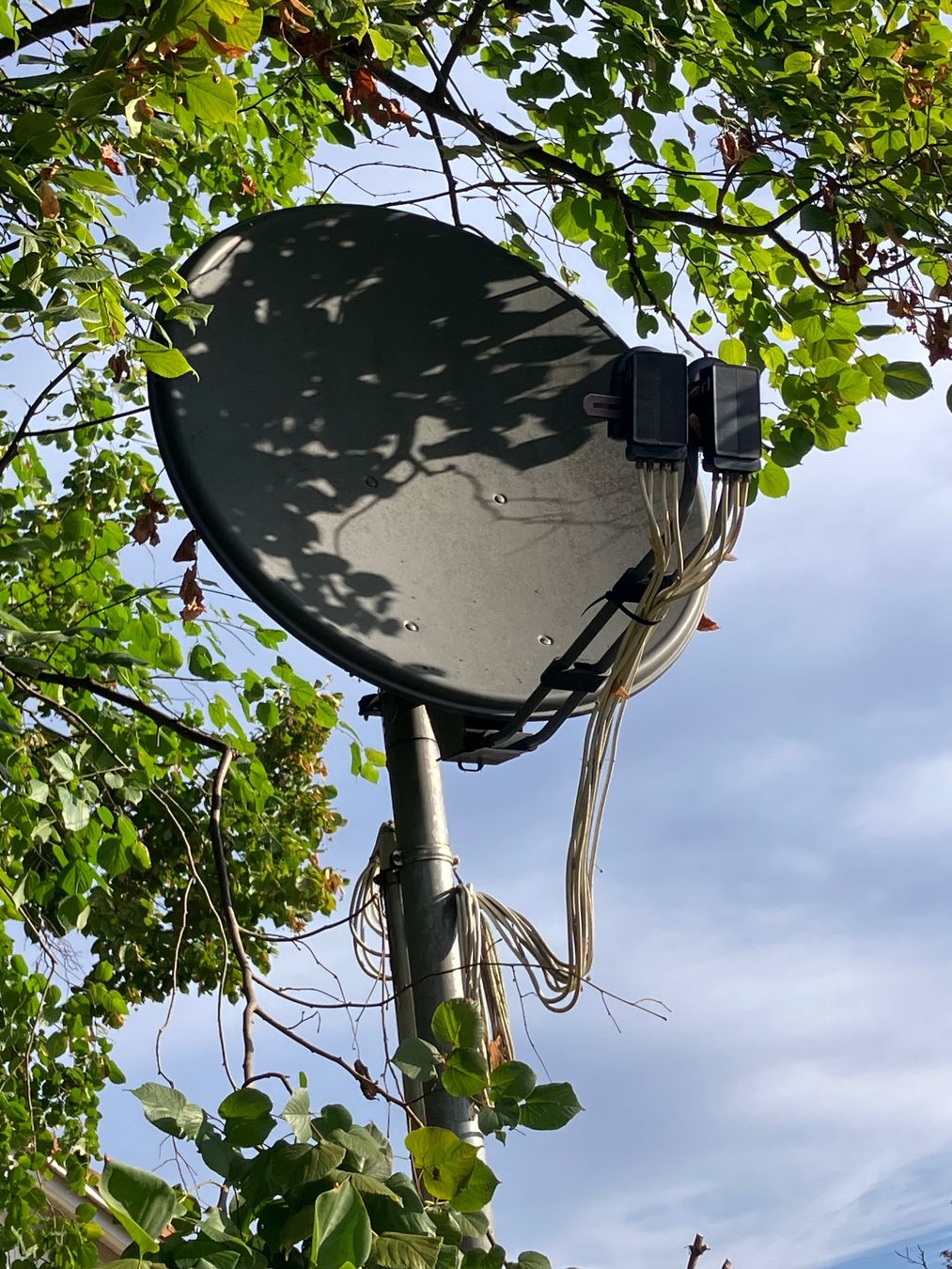 Schalen: Satellitenschüssel – Gebraucht aus Beromünster von iaf_8rr9