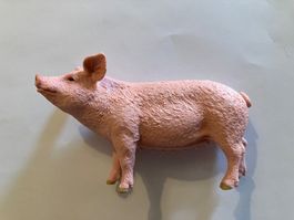 Cochon – Figurine Schleich