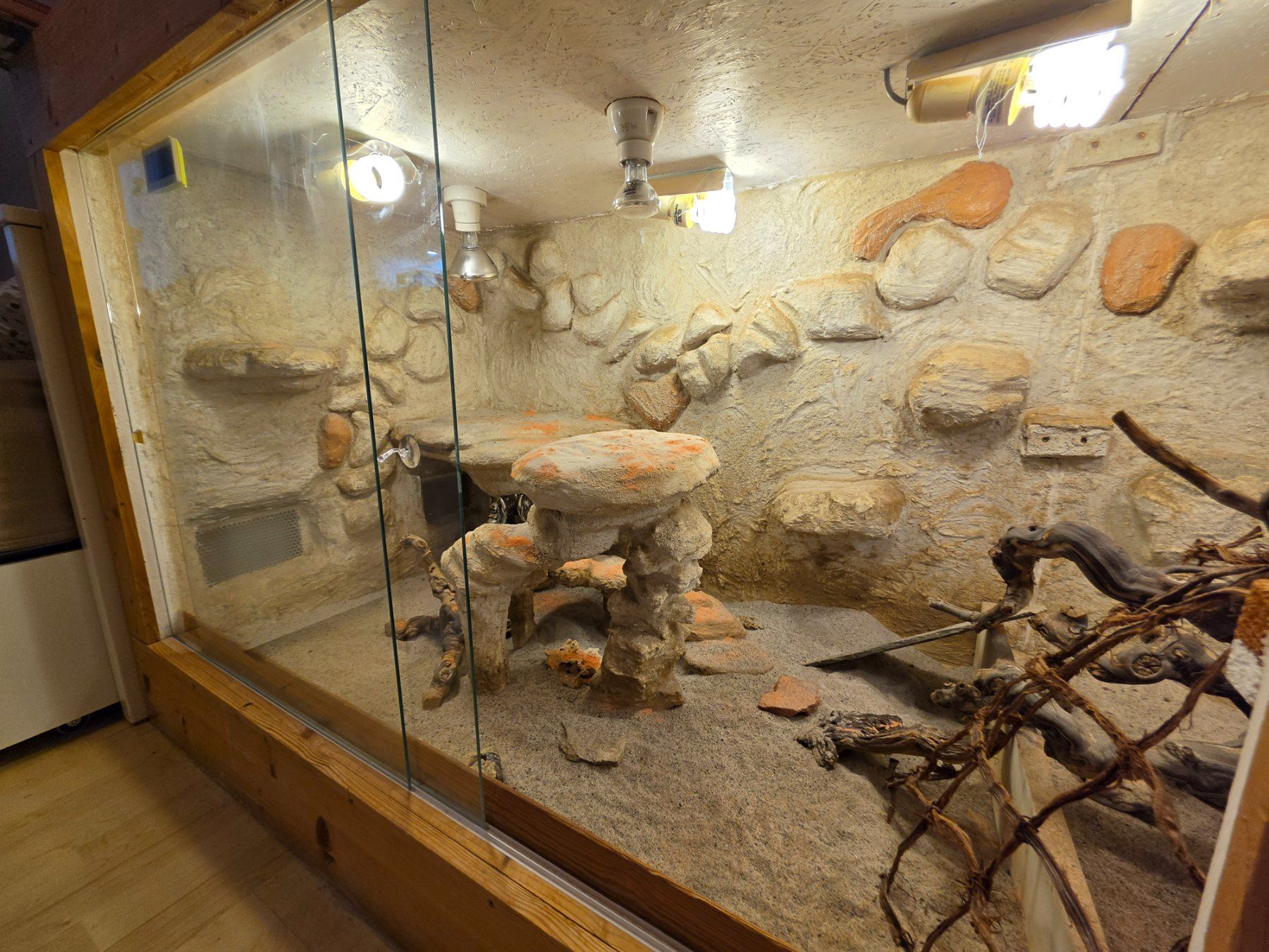 Terrarium: Wüstenterrarium – Gebraucht aus Zürich von Emendez 1