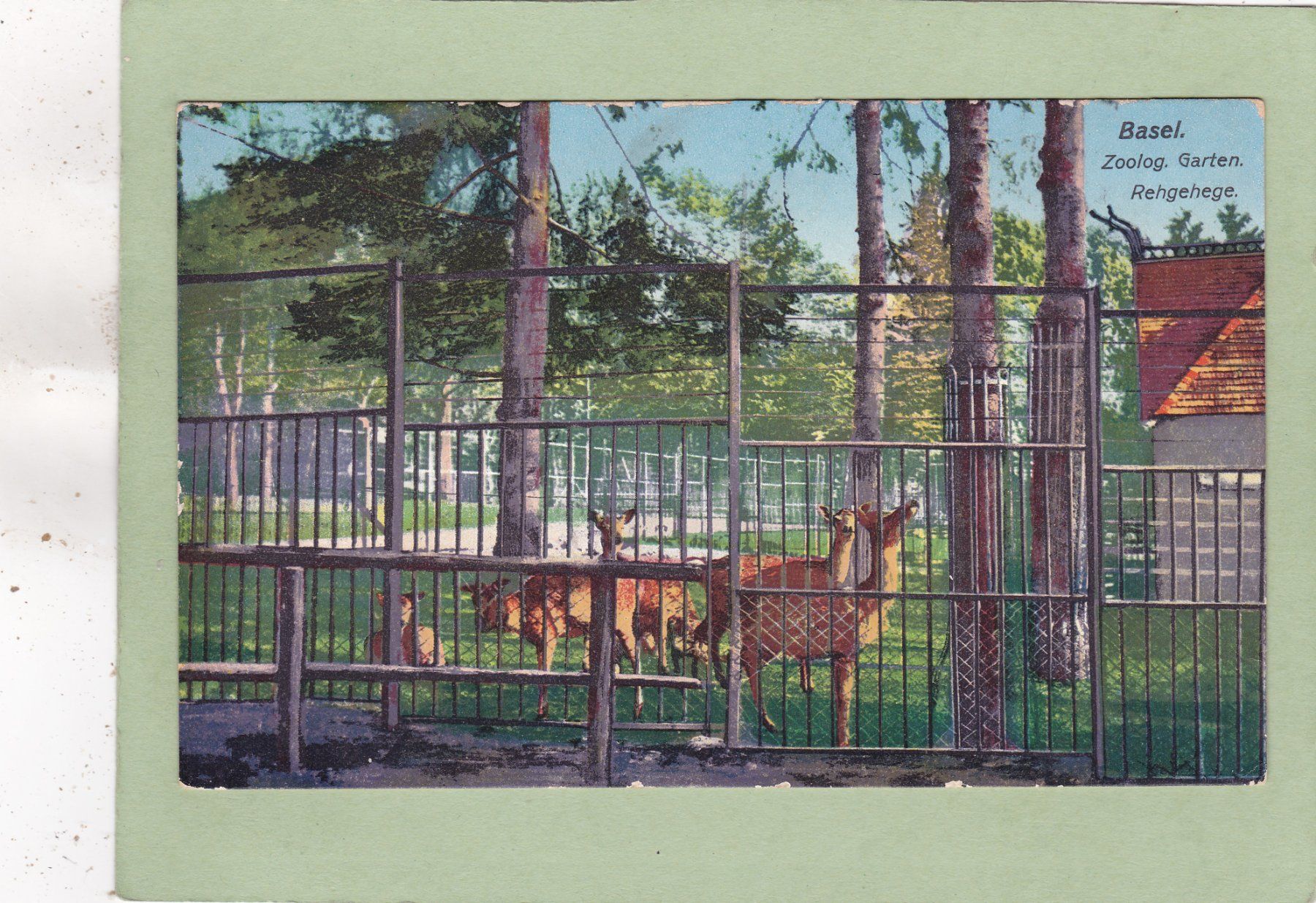 Cartoline postali: Basel Zoo Rehgehege 1922 – Usato da Herisau venduto da Lisegrat2008