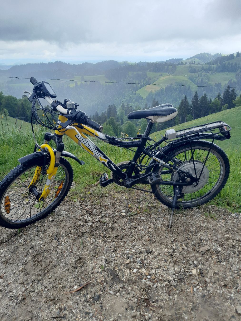 Bionx Velos: Bionx E Bike 20" mit Display, kein Akku – Defekt aus Wasen im Emmental von sadsdla
