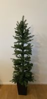 Christmas Tree 1.5 m