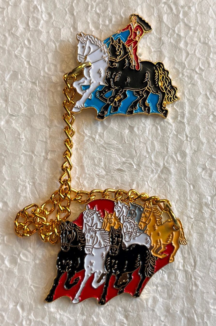 Swiss Placchette & Badge: Pin Simone Erni - VIVE LE CIRQUE , ZIRKUS – Usato da Obernau venduto da Wgnom