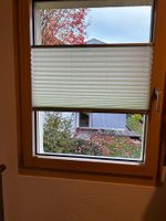 Plissee new shades Pastell Grün 712 x 977mm Storen Fenster