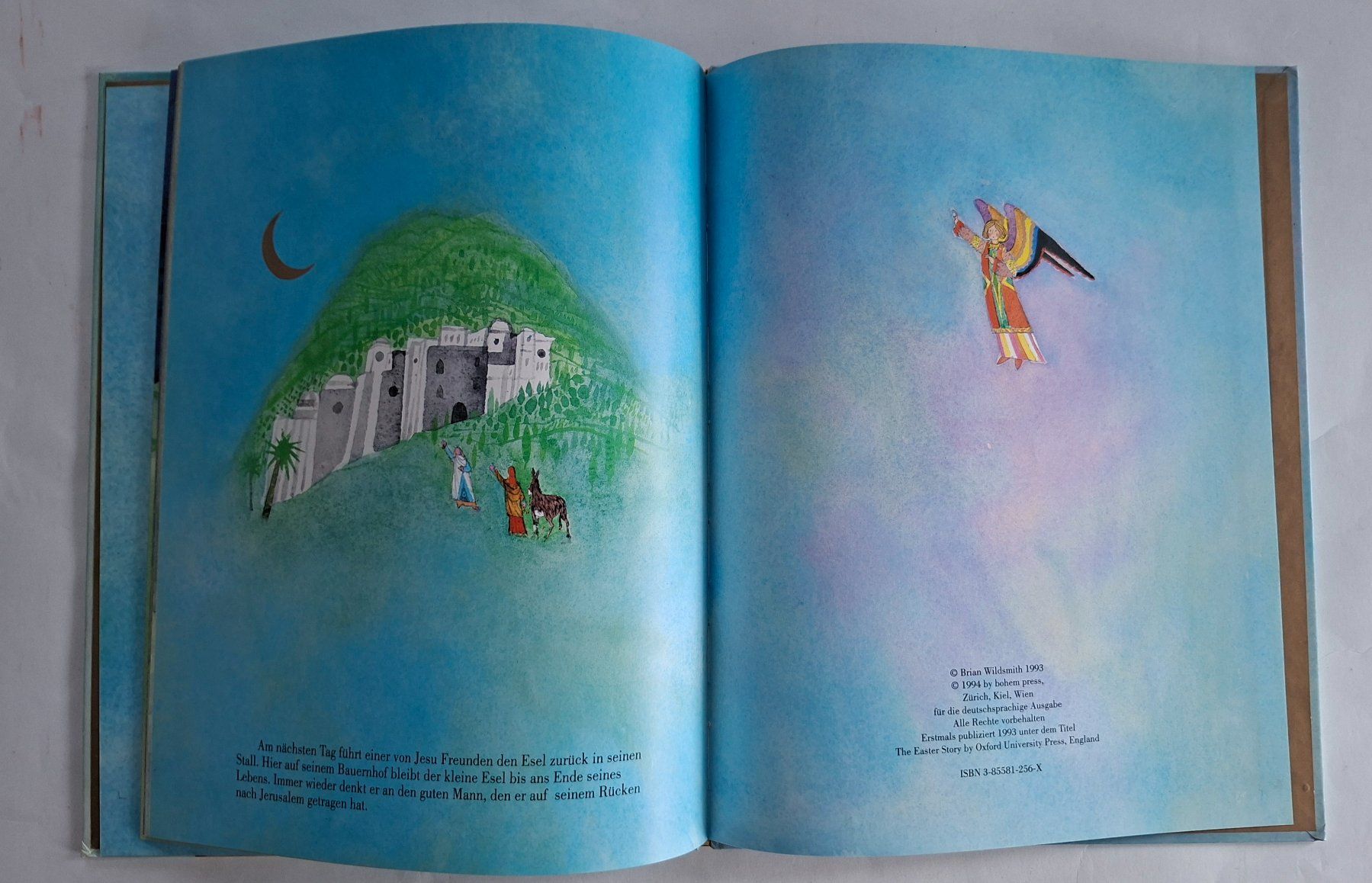 Libri: Die Ostergeschichte - Brian Wildsmith – Usato da Opfikon venduto da Diversamente 4