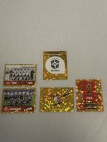 Panini Sticker