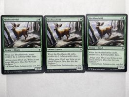 MTG Hochlandwild KTK 135 Deutsch Common 3x
