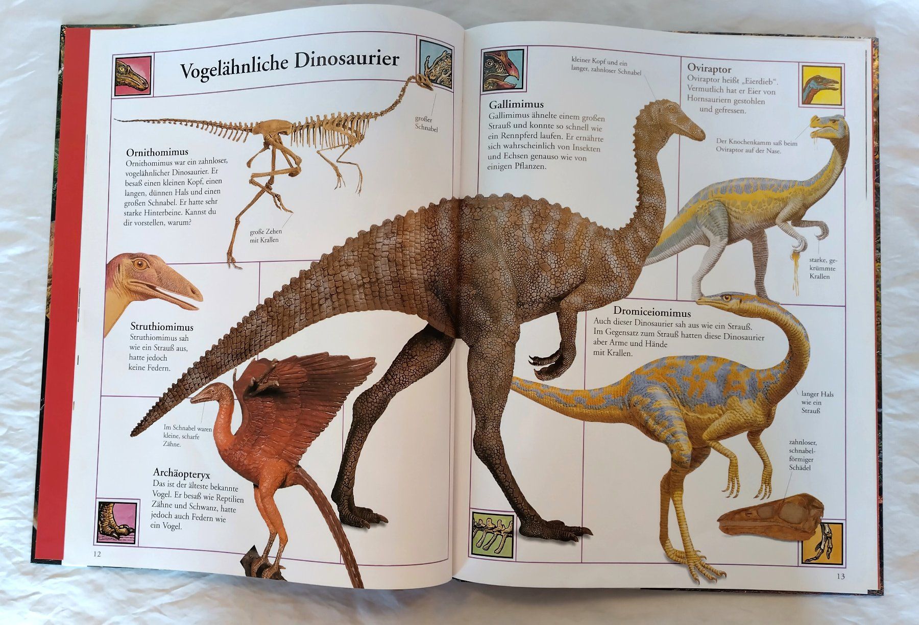Libri: Das grosse Bilderlexikon der Dinosaurier / Grosses Format – Usato da Bellach venduto da JingleJerry 5