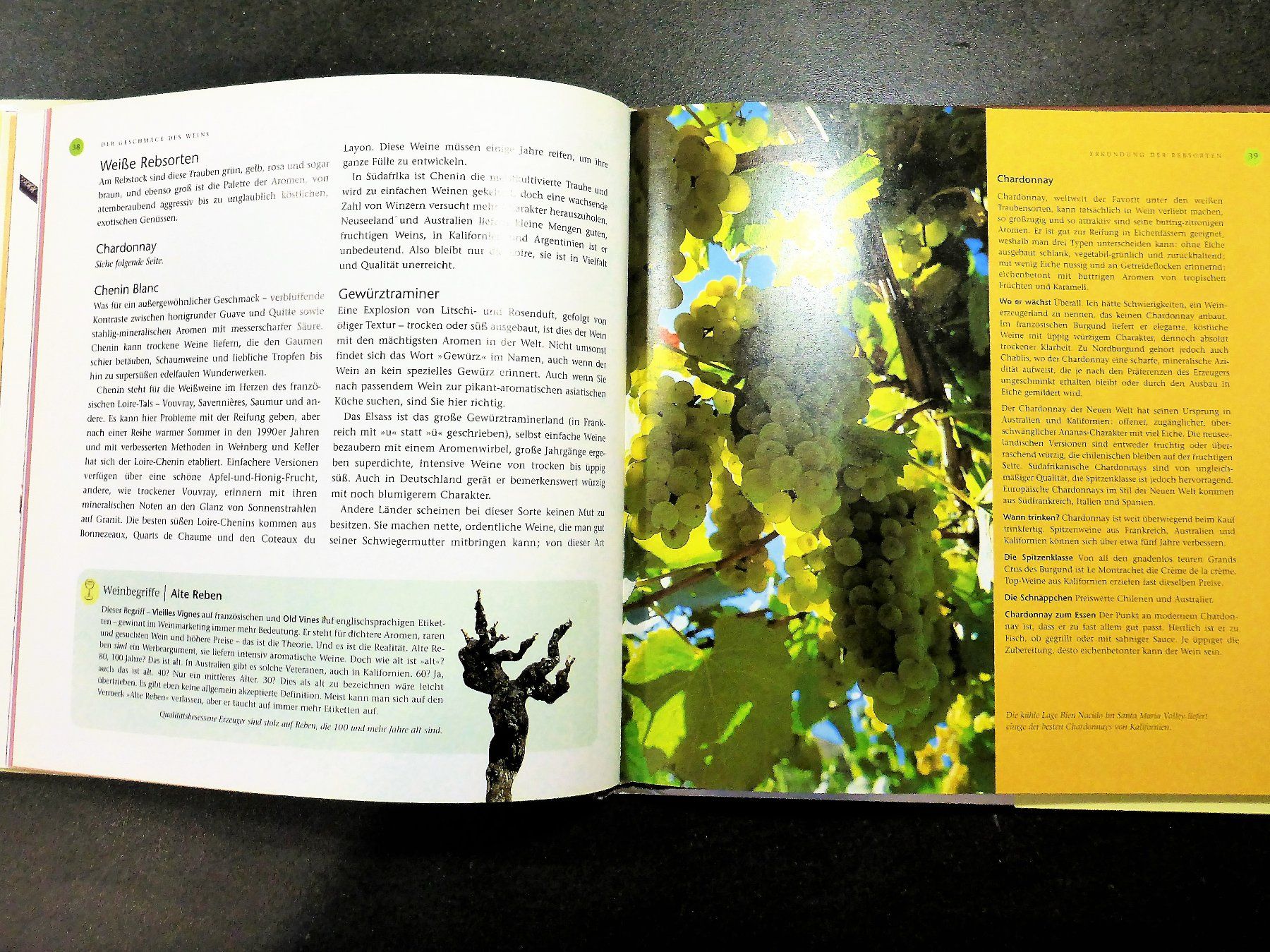 Libri: Oz Clarke: Clarke's kleine WEINSCHULE – Usato da Jegenstorf venduto da ladoga66 5
