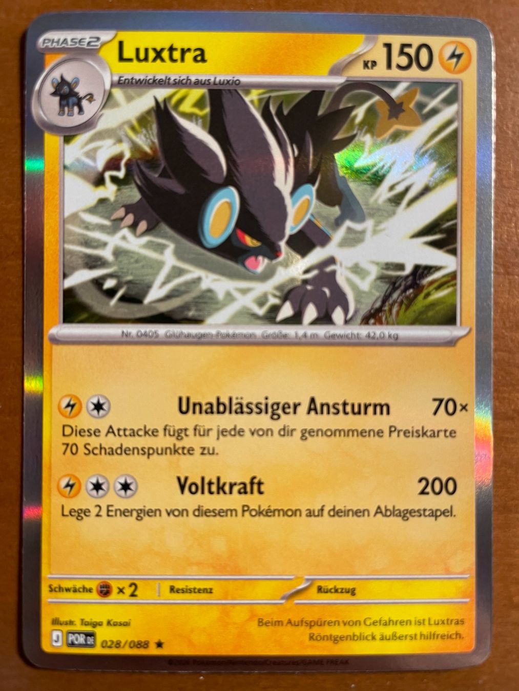 Pokémon Carte collezionabili: Pokemon Luxtra Holo (Versand gratis) – Nuovo (secondo la descrizione) da Chur venduto da Angerson