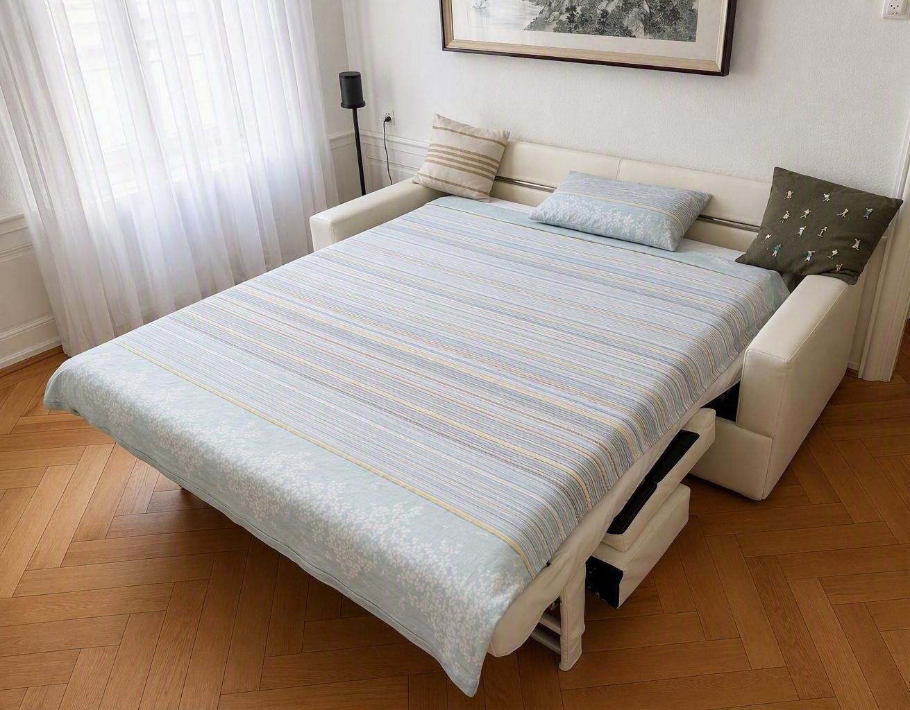 Sofas: Bettsofa Pol 74 - Lario Prestige Medium - Leder – Gebraucht aus Basel von nicolmo01 1