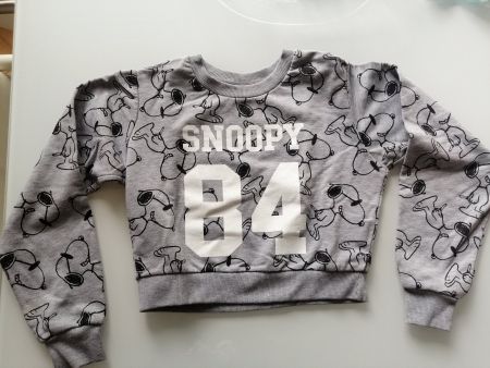 Pullover Snoopy