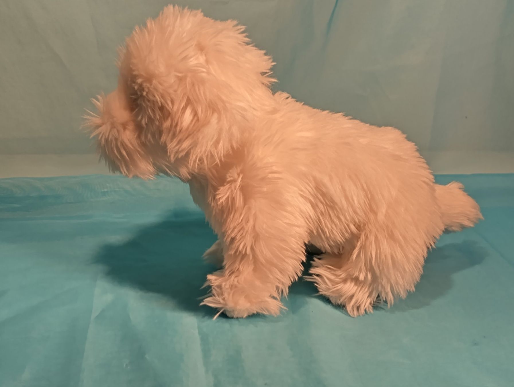 Giocattoli: Scottish Terrier, Plüsch, 30cm – Usato da Bellach venduto da JingleCherry 1