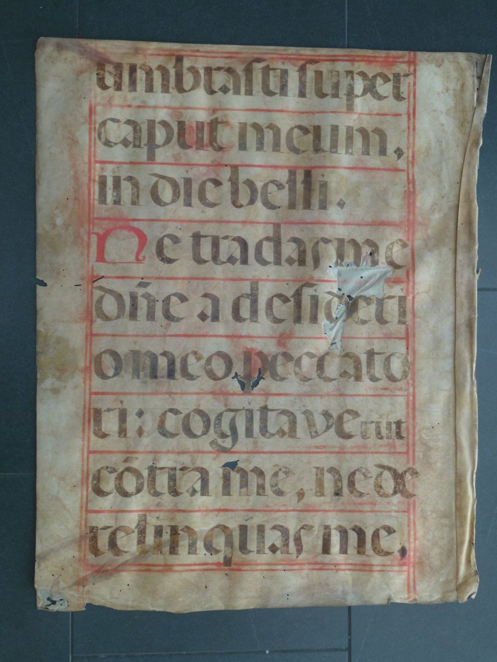 Dipinti: Gotik Manuskript Pergament / Psalm:140 – Usato da Esslingen venduto da eintagammeer 1