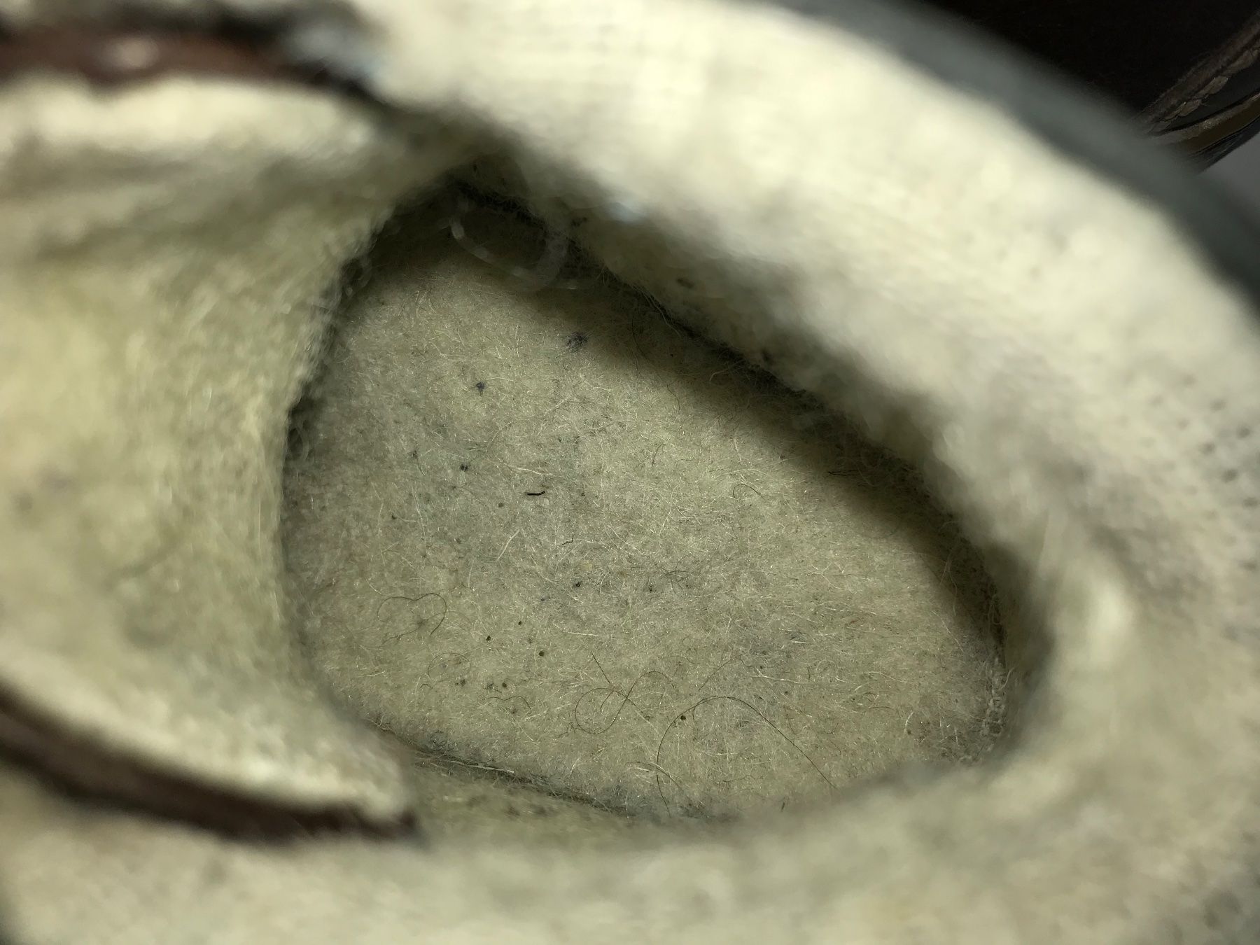 Primigi Scarpe per ragazzi: Schuhe Primigi Gr.26 – Usato da Meilen venduto da Exclusive00 1
