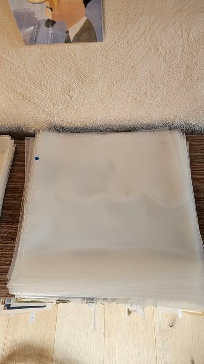 Dischi in vinile: Aussenhüllen für LP Schallplatten – Usato da Niederhasli venduto da Garjulia
