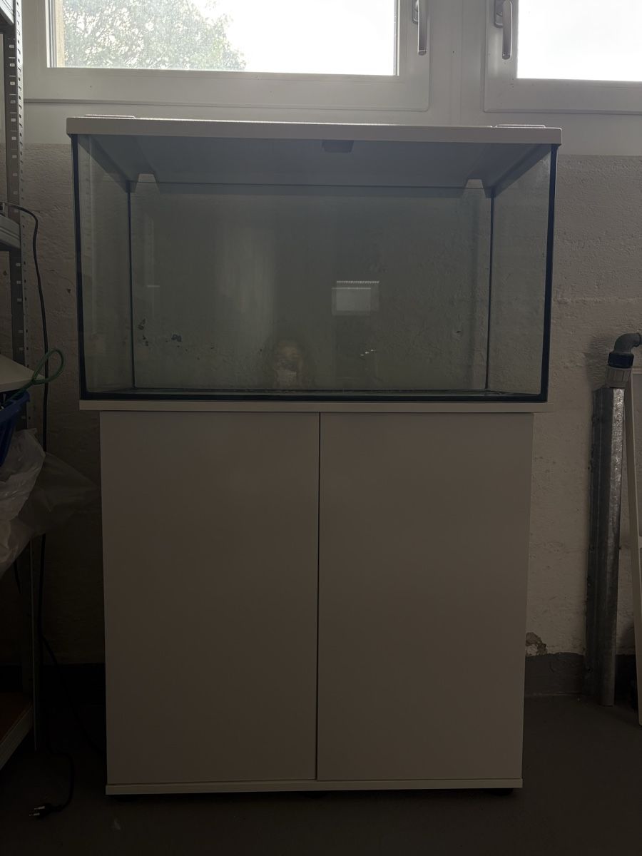 Acquari: Aquarium mit Zubehör – Usato da Ersigen venduto da mob_pc6d 1