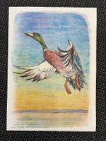 Fliegende Ente / Probeabzug von Fritz Hug 1977   (ID B5757)
