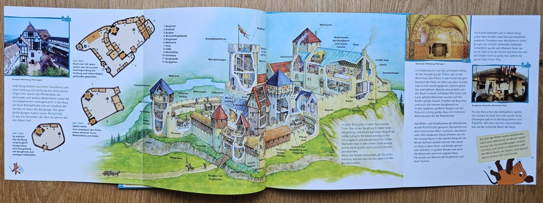 Libri: Ritter und Burgen – Usato da Schaffhausen venduto da asyouwestley 4