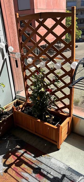 Altre Decorazioni per giardino: 3 Blumenkasten mit Rankgitter  – Usato da Winterthur venduto da Calgory 2