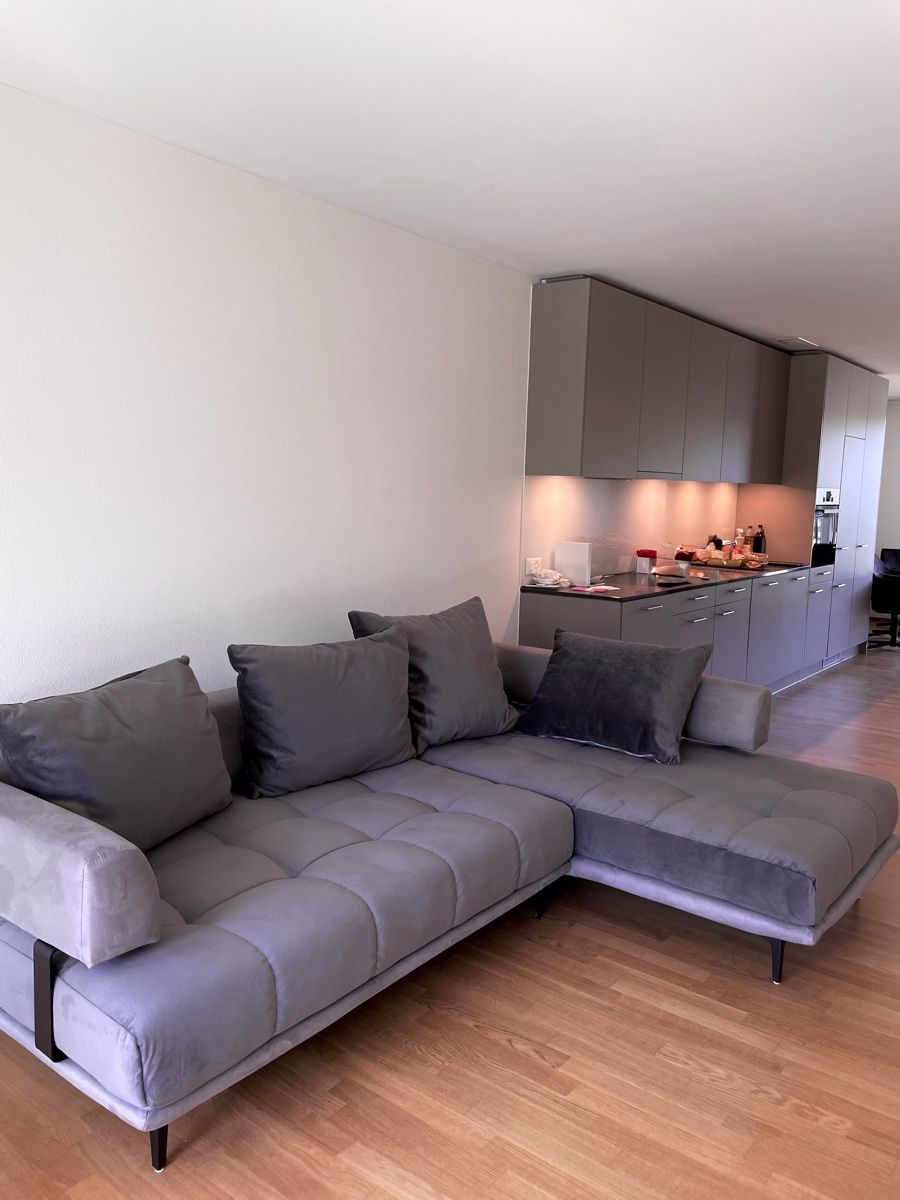 Divani: Ecksofa in Velour-Grau – Usato da Bülach venduto da naz_dc9d