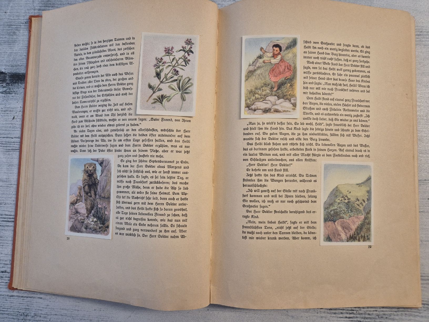 Livres: Heidi Bücher 1944 1946 – Défectueux à Tuggen par Santasbag 3