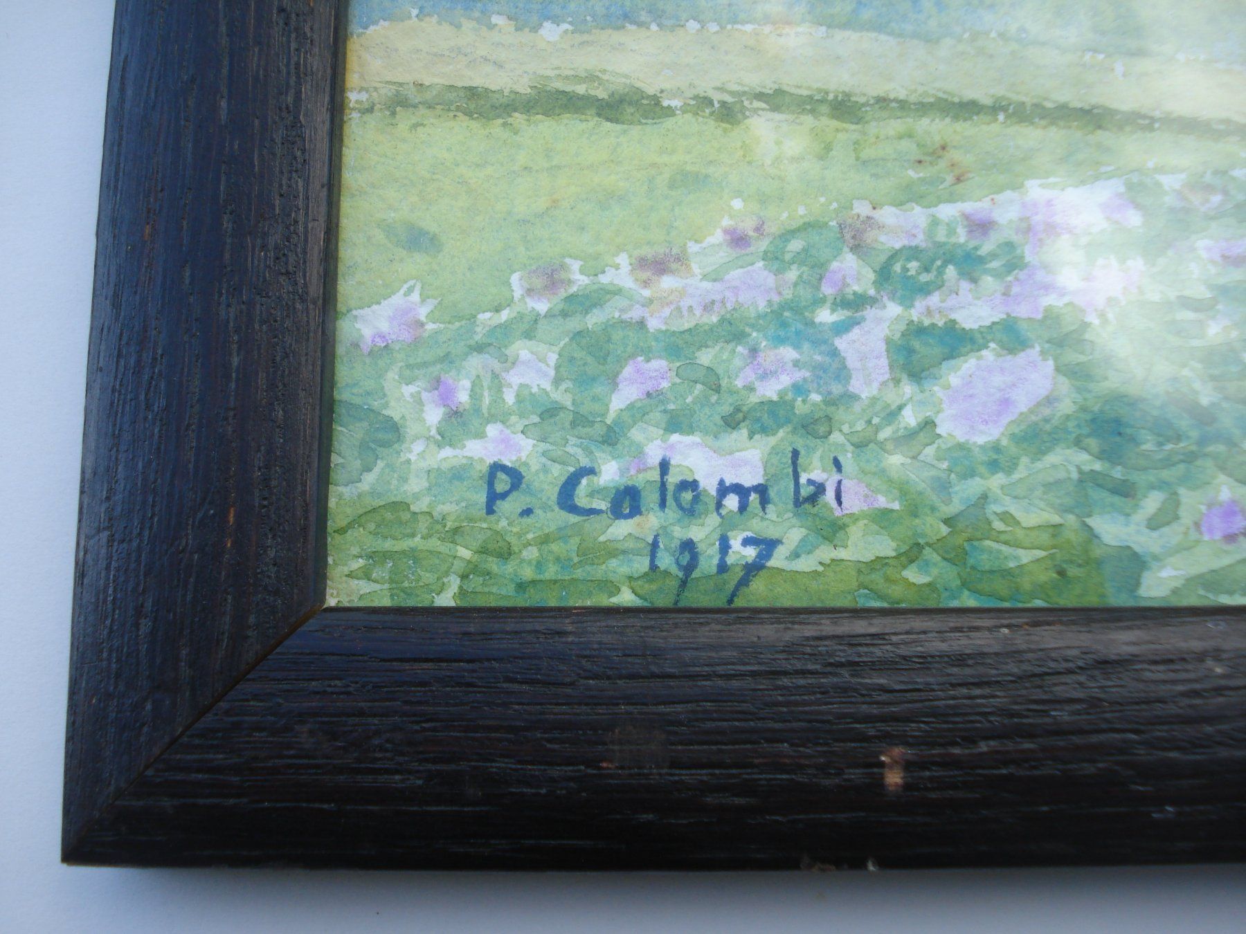 Dipinti: Plinio Colombi 1873-1951 – Usato da Basel venduto da art.basel 3