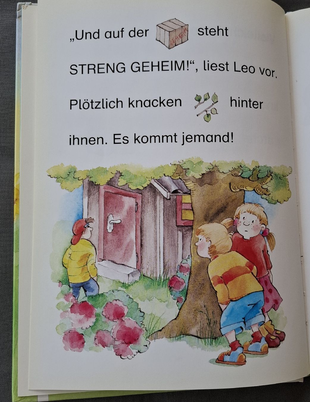 Bücher: Robby und die Detektive – Gebraucht aus Dietikon von Hirschkopf 4