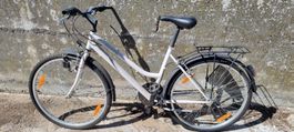 Export Velos 5 Stück