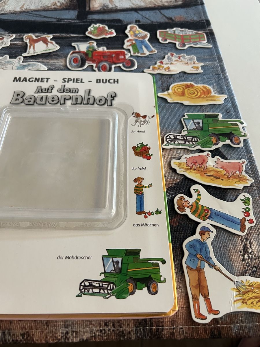 Libri: 3 Kinderbücher mit Magnetfiguren – Nuovo (secondo la descrizione) da Willisau venduto da Geissbock11 3