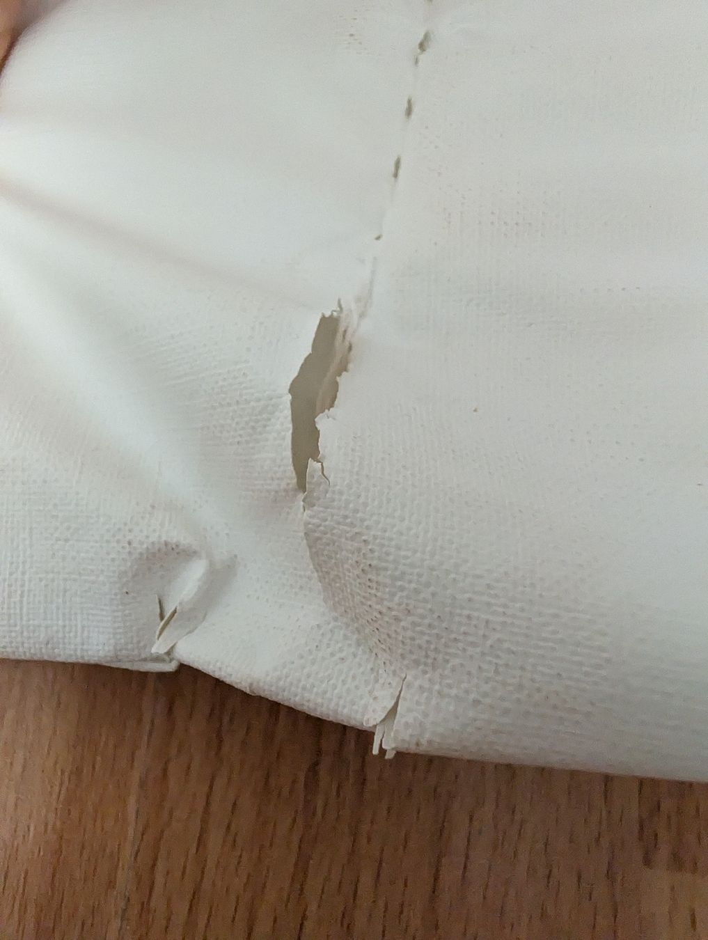 Fasciatoi & Accessori: Zöllner Wickelauflage mit Bärchenmotiv – Difettoso da Buchs ZH venduto da nudle10 3
