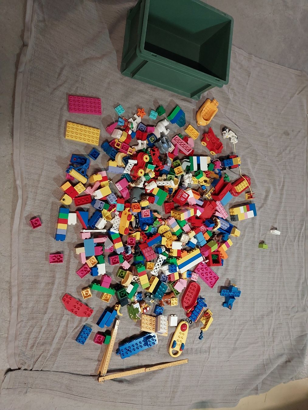 Lego Giocattoli: Lego Duplo ca. 200 Teile – Usato da oetwil am see venduto da timmy010 6