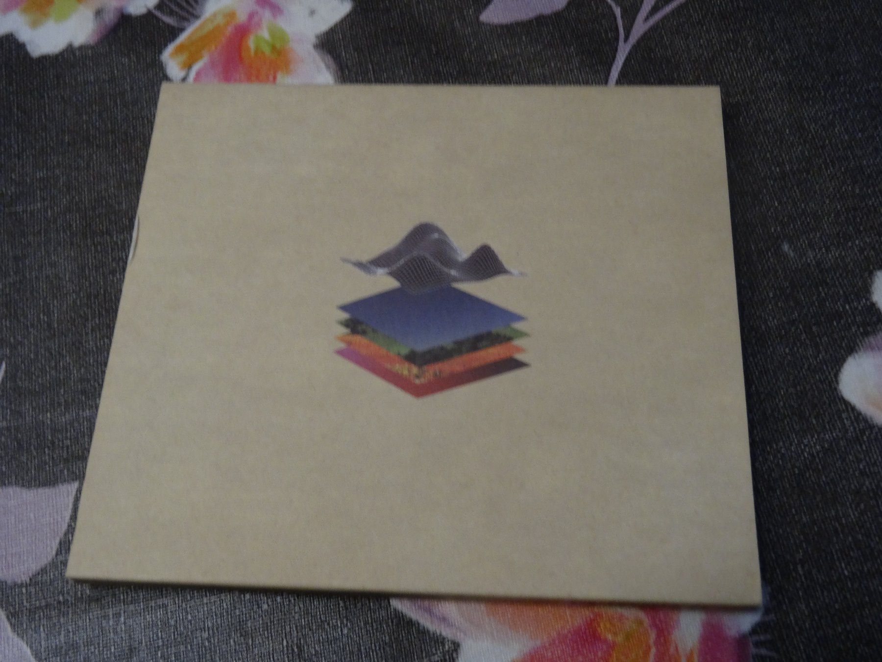 CD: Chief - Modern Rituals CD – Usato da Olten venduto da Disc-Ausverkauf