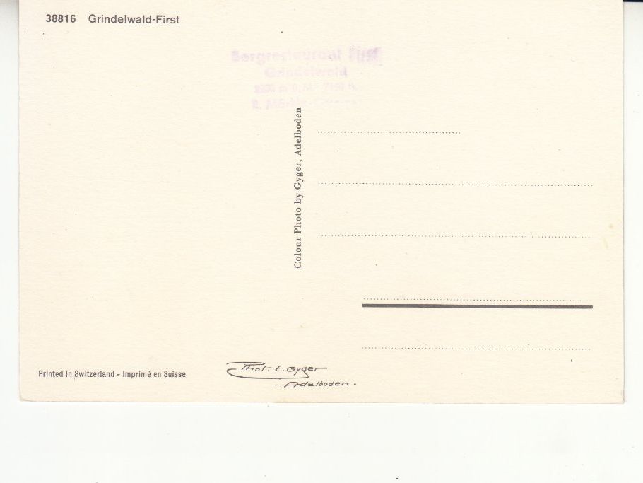 Cartoline postali: Grindelwald First ca. 1960 – Usato da Bürglen TG venduto da StampGraf 1