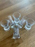 6er Set coole Schnapsgläser - NEU