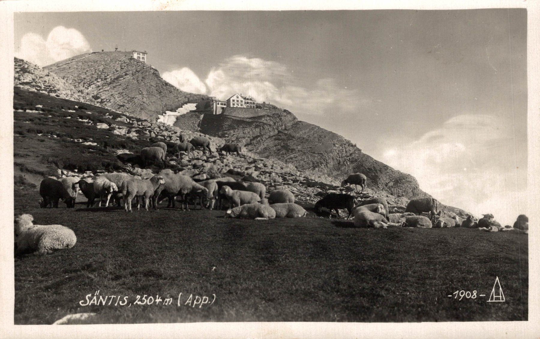 Ansichtskarten: Säntis. Schafherde – Gebraucht aus Bronschhofen von Astore
