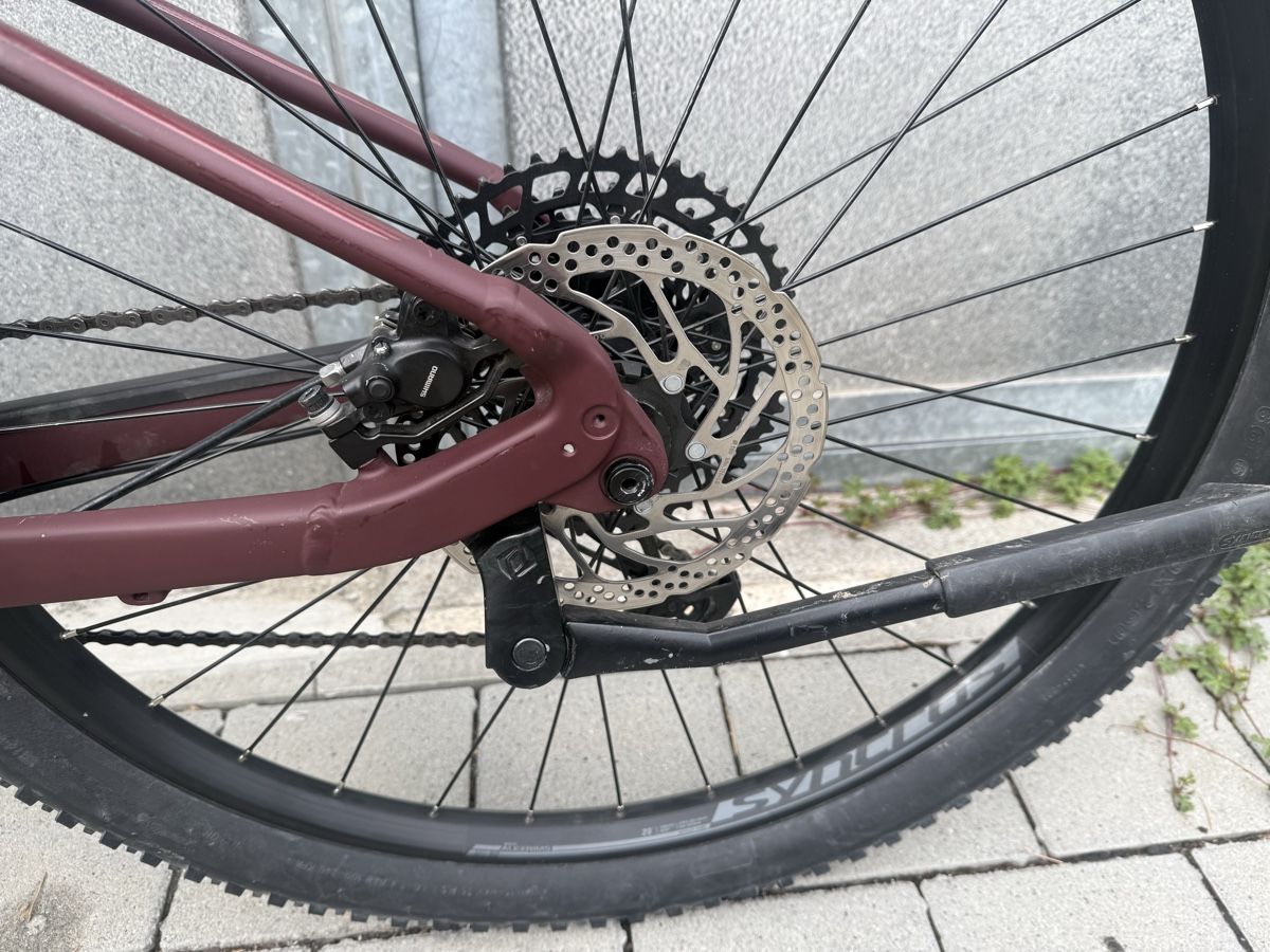 Scott Biciclette: Scott Contessa mit Bosch Performance Line CX Motor – Usato da Oberentfelden venduto da bbe_nk5x 3