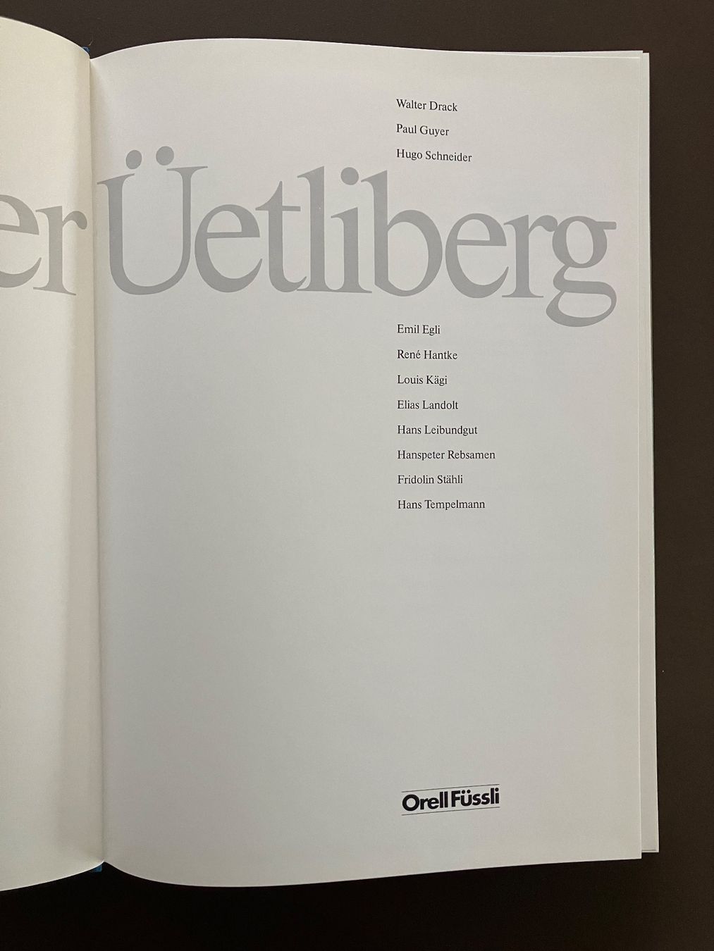Libri: Der Üetliberg Zürich – Usato da Menziken venduto da timbuktu1001 1