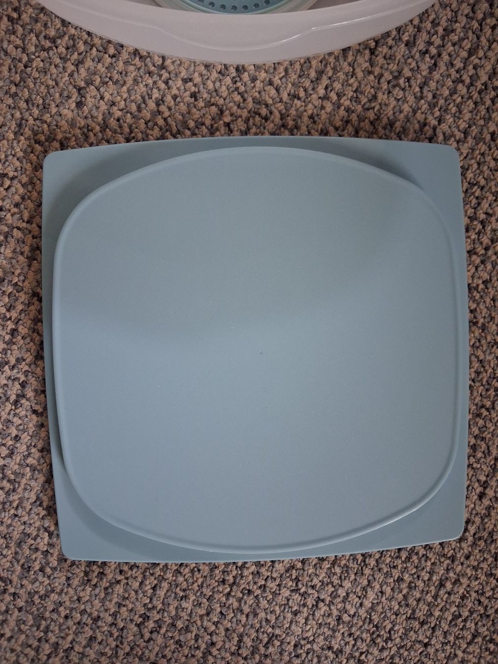 Tupperware Contenitori & Simili: Tupperware Käsebox neuwertig – Nuovo (secondo la descrizione) da Wald ZH venduto da e8e 2