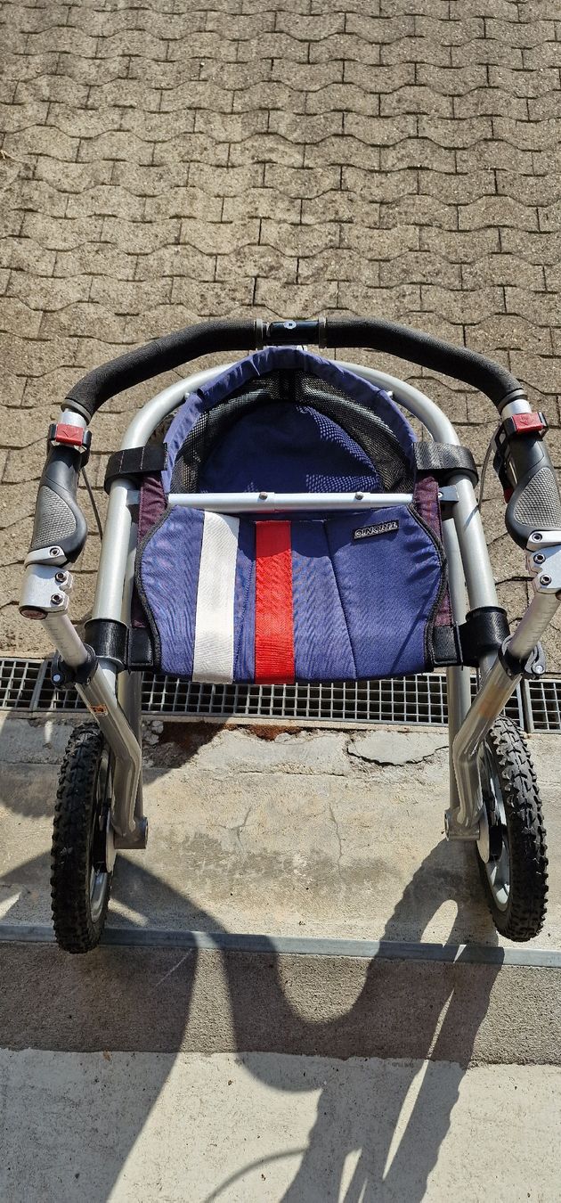 Gehhilfen: Rollator Veloped für Geände – Gebraucht aus biberist von Jwan0 5