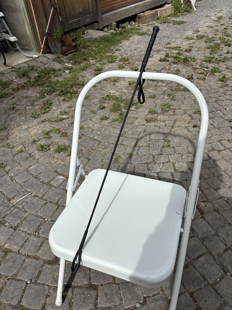 Altro in Accessori per animali: Reitgerte schwarz – Usato da St. Gallen venduto da may_8fbd