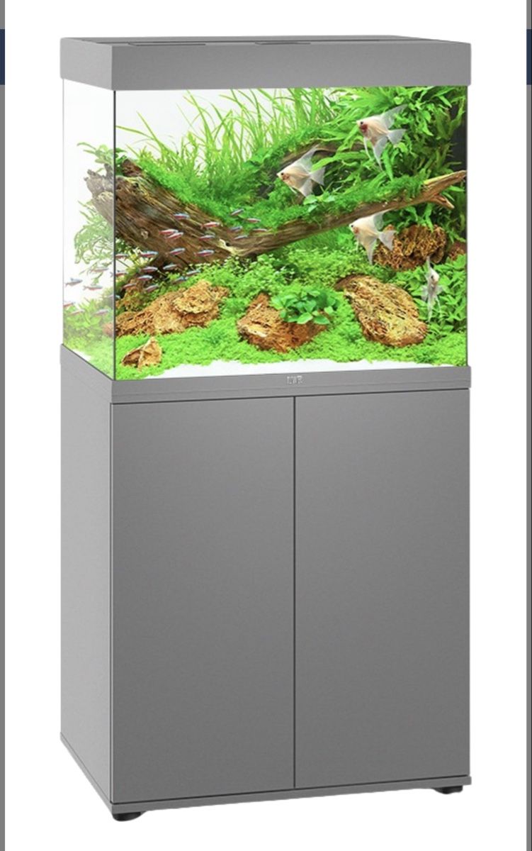 Acquari: Juwel Aquarium Lido 200 – Usato da Hünenberg venduto da salsas4