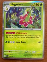 Pokemon Meganium Holo (Versand gratis)