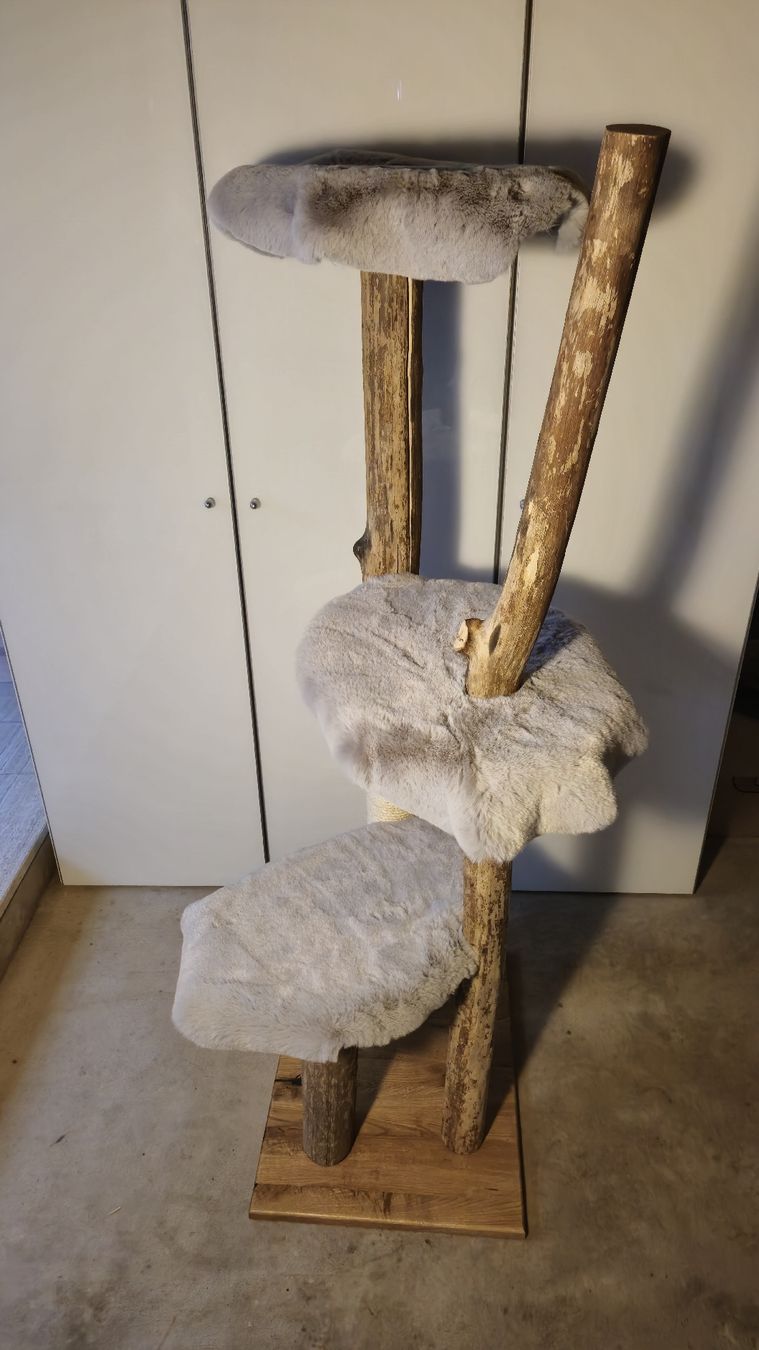 Tiragraffi: Natur Katzenbaum/ Kratzbaum – Nuovo e nell'imballaggio originale da Appenzell Meister. venduto da Morize98 3