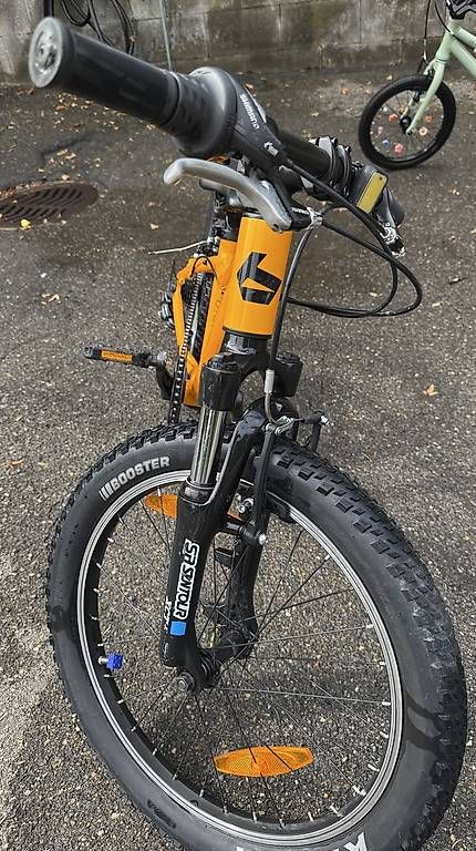 Biciclette: Bergamonster 20 Zoll Hardtail – Usato da Zürich venduto da Queenieman