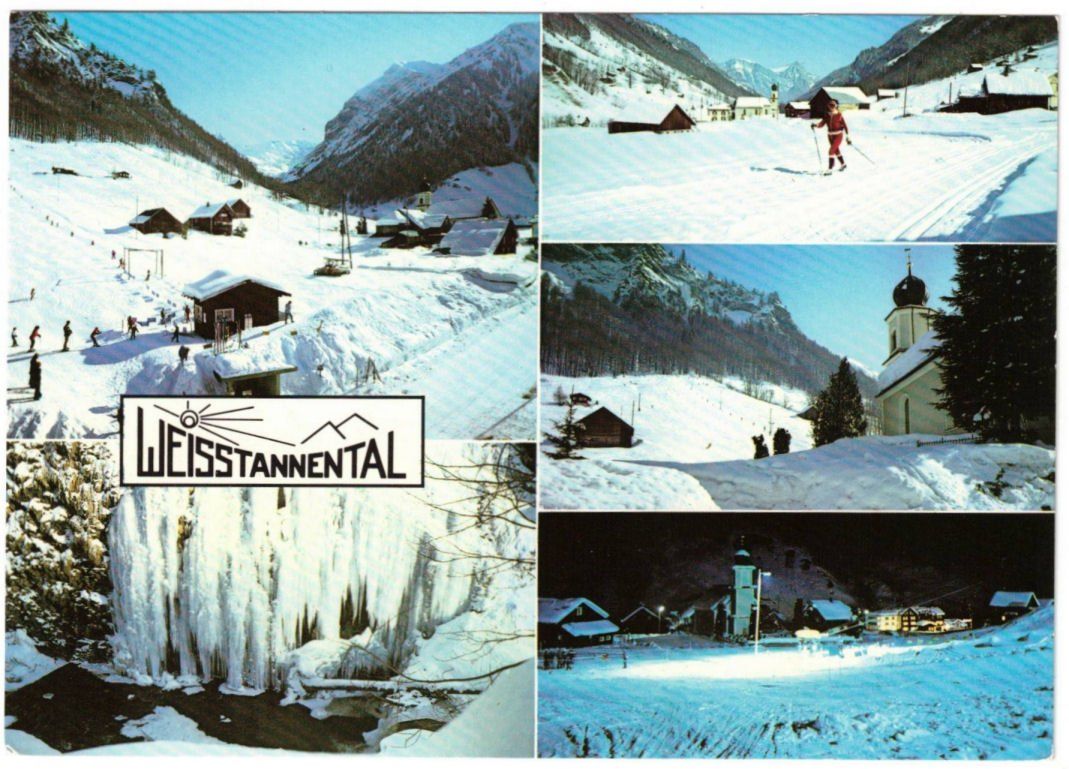 Cartoline postali: Weisstannen - 5 Bild AK – Usato da Binningen venduto da Mountainrider